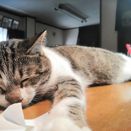 Tiny Guesthouse Umekoji 梅小路 Kyoto Eksteriør bilde